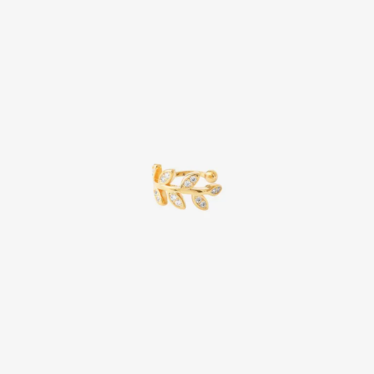 Bague d'oreille dorée - EPI